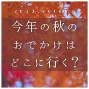 今年の秋はどこに行く？